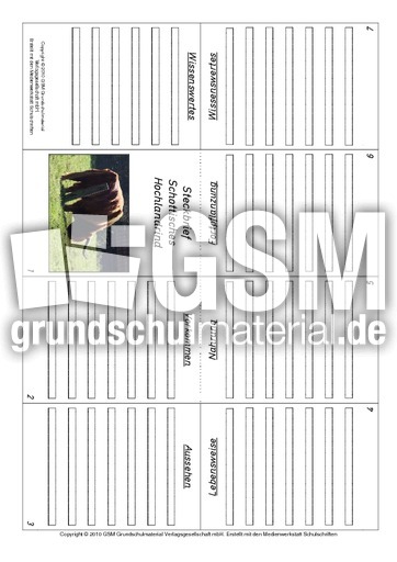 Faltbuch-Schottisches-Hochlandrind.pdf